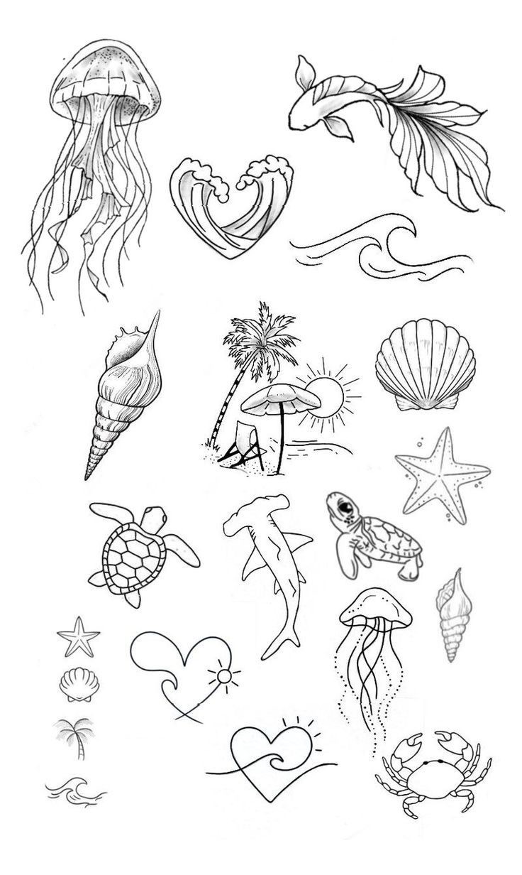 Flash designs — Image 2